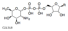 GIF of NDP-2-amino-2,6-dideoxy-D-galactose