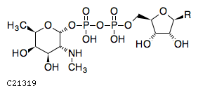 GIF of NDP-2-methylamino-2,6-dideoxy-D-galactose