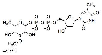 GIF of dTDP-3-O-methyl-beta-L-rhamnose