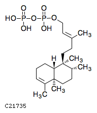 GIF of (-)-Kolavenyl diphosphate;