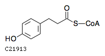 GIF of Dihydro-4-coumaroyl-CoA